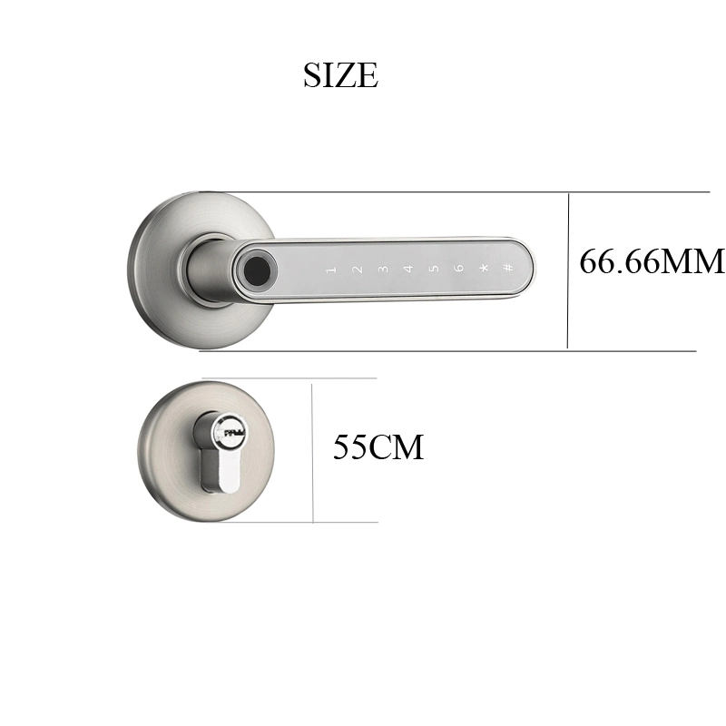 55X72 Magnetic Lockbody Rossette Fingerprint Lock